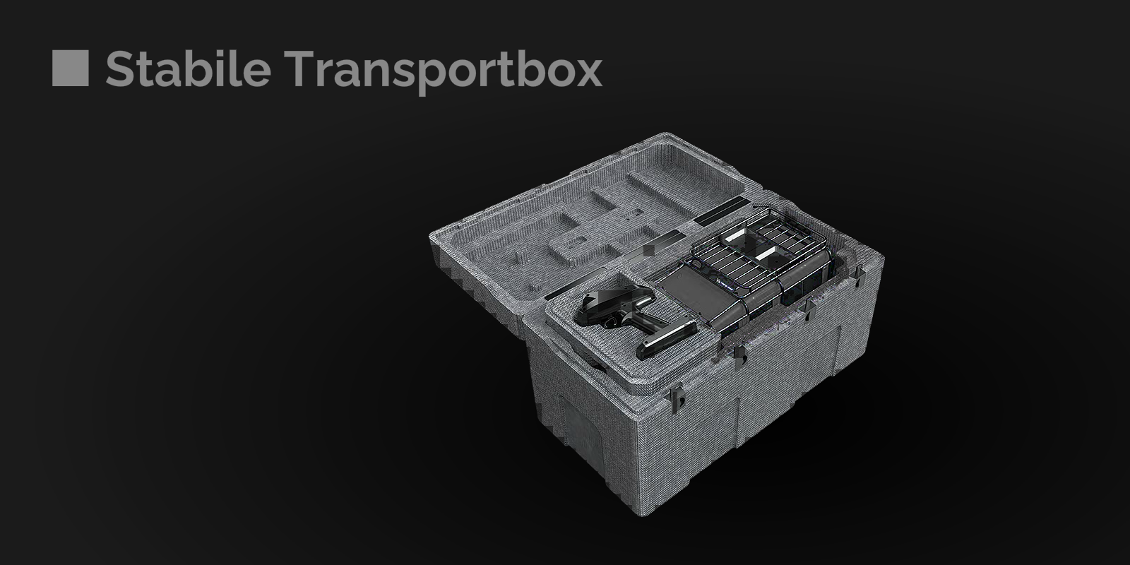 Stabile Transportbox