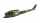 Rumpf UH-1 Pro
