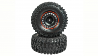 Reifen und Einlagen, 2 Stück RCX10.3