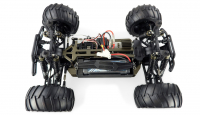 Amewi Terminator Monstertruck brushed 4WD 1:10, RTR
