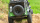 Amewi Dirt Climbing Fierce Tiger SUV Crawler 4WD 1:10 RTR