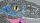 Velociraptor RC Dinosaurier 45cm, RTR grau